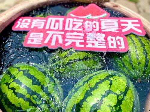 夏天吃瓜群众免费观看 第2张 夏天吃瓜群众免费观看 第2张